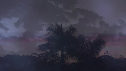 Wall Mural - silhouette of trees and the sky with dark clouds and lightning
