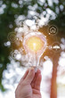 © maeching - Light bulbs that grow in the concept of energy in nature