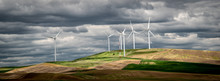 Windmills Cluster On The Hilltops Of The Palouse Region Of Washington