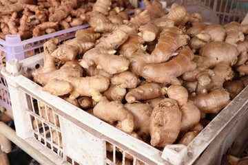 Poster - Fresh ginger at the market