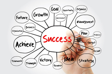 Wall Mural - Success mind map flowchart with marker, business concept for presentations and reports