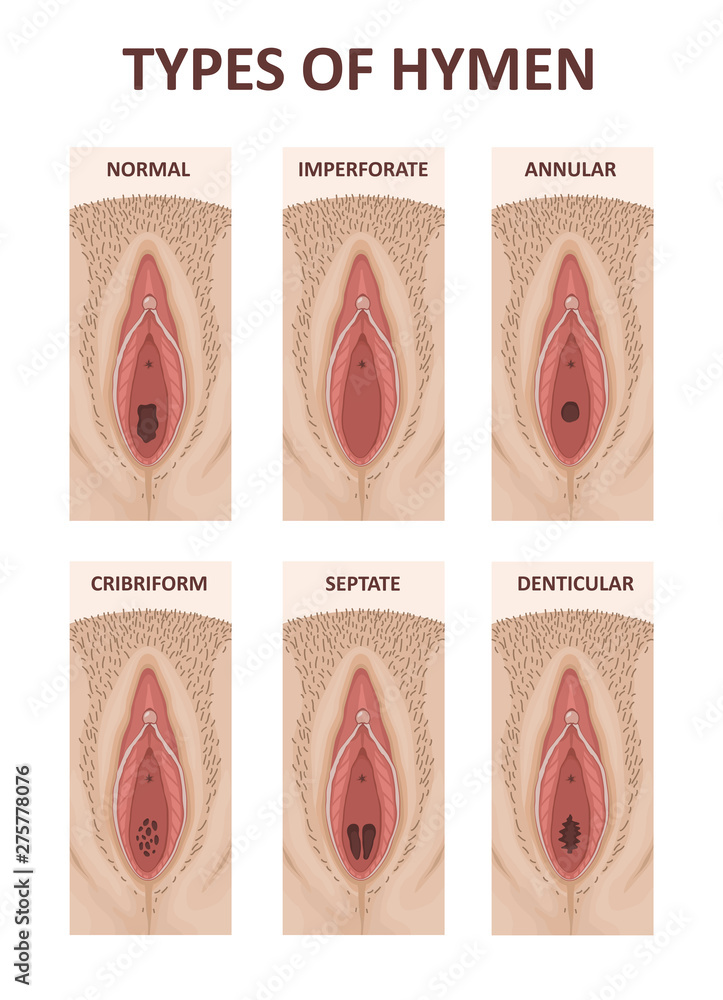 Gipnoz ostida yalangoch videolar Yalangoch NTV boshlovchisi Liliya Gildeeva