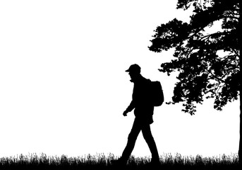 Wall Mural - Realistic black illustration of walking tourist with backpack, grass and high tree. Isolated on white background, with space for text, vector