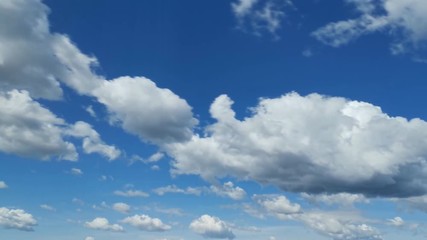 Wall Mural - White fluffy clouds rolling on clear vibrant blue sky at bright sunny day. Tranquil nature cloudscape timelapse.