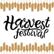 Vector illustration of Harvest festival text decorated with ears of wheat. Hand drawn lettering for harvest festival. Isolated autumn card, poster or banner template with calligraphic text.
