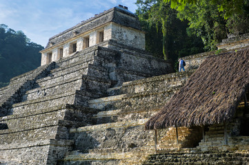 Temple ruins at Palenque;  Chiapas, Mexico