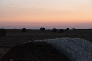 Beautiful view of a wheat field, full of the characteristic bales. The shot is taken at sunrise during a summertime day Sicily, Italy