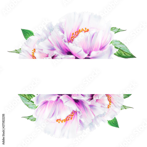 Beautiful white peony frame. Bouquet of flowers. Floral print. Marker drawing...