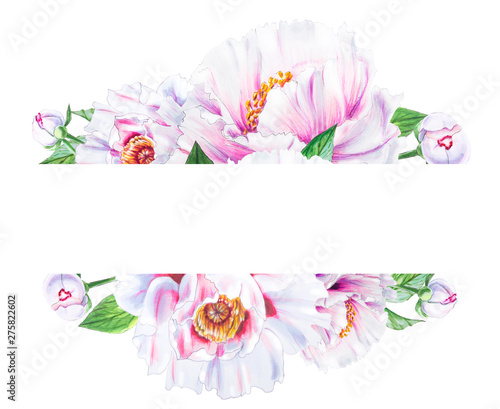 Beautiful white peony frame. Bouquet of flowers. Floral print. Marker drawing...