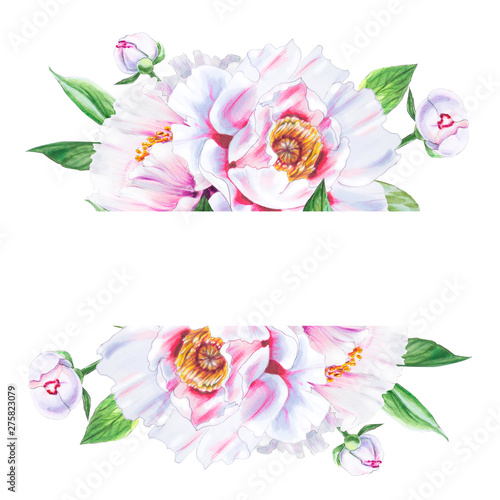 Beautiful white peony frame. Bouquet of flowers. Floral print. Marker drawing...