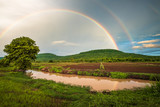 Fototapeta Tęcza - Rainbow Over the Rice Farm