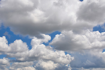 large fluffy clouds float across the blue spring sky.