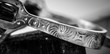 Close up of Silver stirrup with engraved detail in black and white
