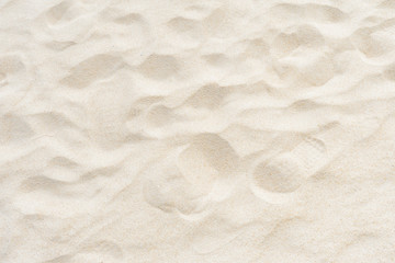 Wall Mural - Full frame shot. Close up sand texture on beach in summer.