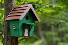 Photo Of A House For Birds In The Forest On The Background Of Trees