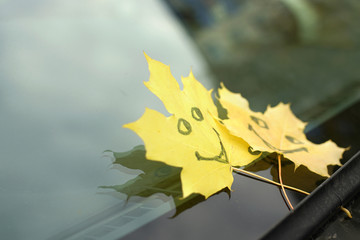 two maple autumn yellow leaves with image of cheerful emoticon on windshield of car, concept of autumn time