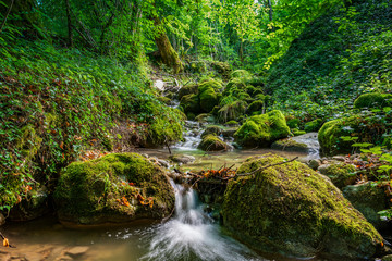 Poster - Beautiful mountain gorge with small waterfall deep in the forest