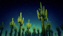 Cactus Nighttime 3d Render