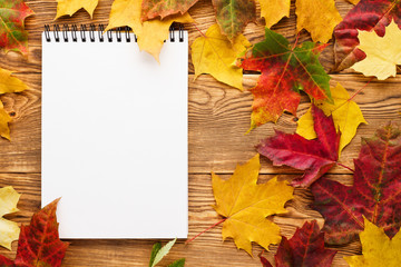 red and yellow maple leaves around empty notebook.