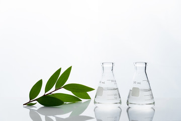 Wall Mural - two clear glass flask with water and green nature leave in biotechnology science laboratory backgrou
