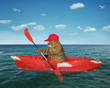 The cat kayaker in a cap is drifting in the red plastic boat in the sea.