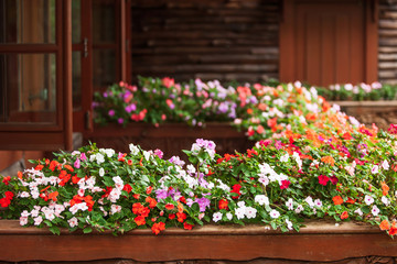 Wall Mural - Blooming Impatiens flowers on wooden balcony.