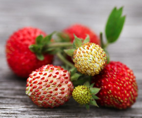 Poster - Fresh ripe and green strawberries