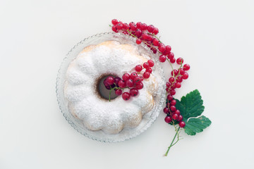 Homemade Cake with Redcurrant in a Plate isolated on a White Background