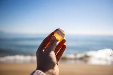 Wall Mural - Woman hand holding a sea shell with blurred beacon on the background