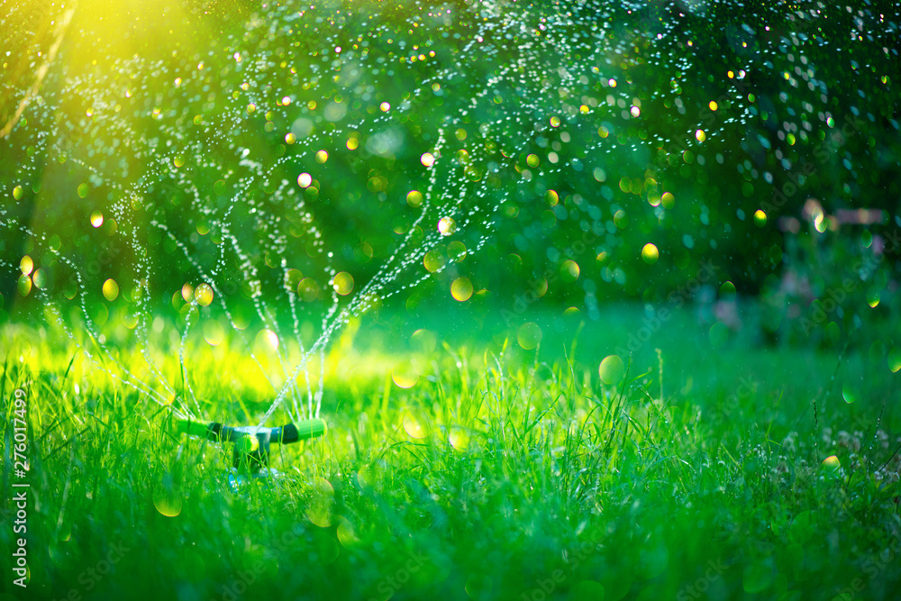 Garden, Grass Watering. Smart garden activated with full automatic sprinkler irrigation system working in a green park, watering lawn, flowers and trees. sprinkler head watering. Gardening concept  - obrazy, fototapety, plakaty 