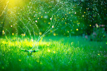 Garden, Grass Watering. Smart Garden Activated With Full Automatic Sprinkler Irrigation System Working In A Green Park, Watering Lawn, Flowers And Trees. Sprinkler Head Watering. Gardening Concept 