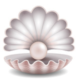 Fototapeta  - pink pearl in the shell illustration