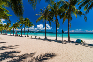 Wall Mural - Palm trees on a beautiful, quiet tropical sandy beach on a tropical island (White Beach, Boracay)