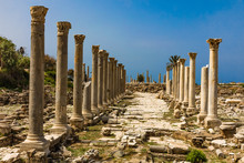 Romans Ruins Tyre Sur In South Lebanon Middle East