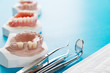 Artificial removable partial denture or temporary partial denture on blue ground.