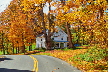 Poster - Highway at sunny autumn day in Vermont, USA