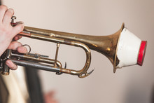 Trumpet With Straight Mute