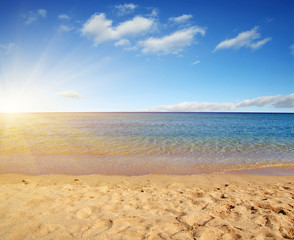  beach and tropical sea