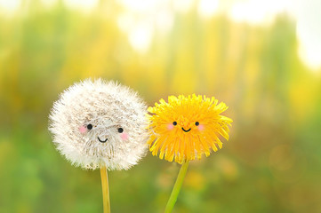 funny dandelions face, cute kawaii style. summer lovin. two dandelions - yellow and white fluffy on beautiful gentle Sunny natural background. summer season. symbol of love and friendship