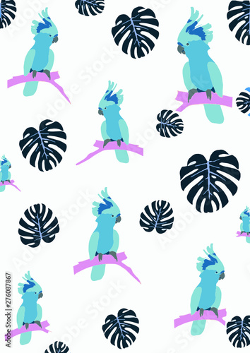 set of birds. Background cockatoo