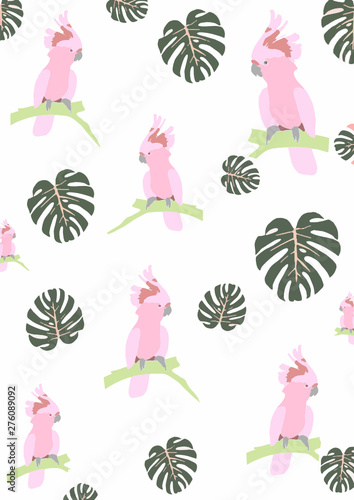cockatoo pattern