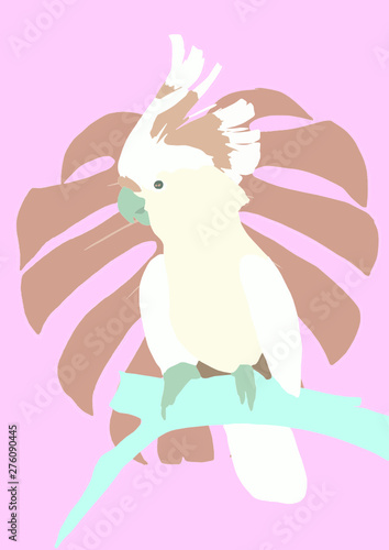 yellow cockatoo illustration