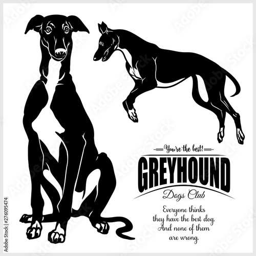 Fotomural Greyhound - vector illustration for t-shirt, logo and template badges