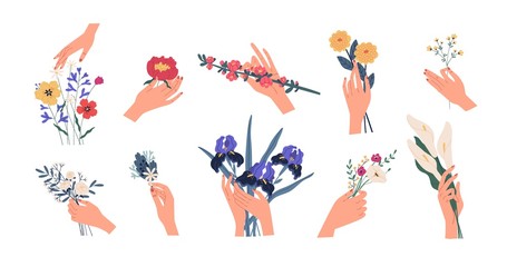 Wall Mural - Collection of hands holding bouquets or bunches of blooming flowers. Bundle of floral decorative design elements isolated on white background. Set of elegant summer gifts. Flat vector illustration.