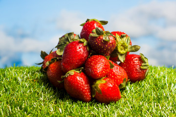 Red strawberries on green grass with blue sky background