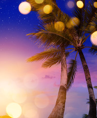 Wall Mural - tropical summer beach night party background
