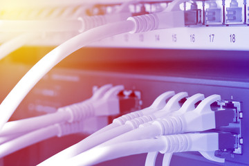network cables in network switch and patch box in server room
