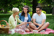 © NDABCREATIVITY - Happy family having picnic in park outdoors