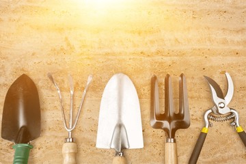 Poster - Set of plant care utensils on background