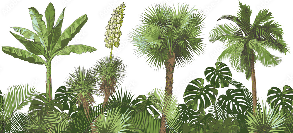 Vector Tropical palms, plants, leaf, foliage, monstera - obrazy, fototapety, plakaty 